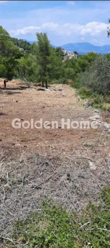 Residential 1060m<sup>2</sup> for sale photo 4