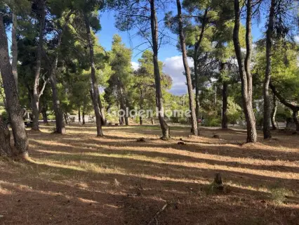 Οικιστικό 3923τ.μ. προς πώληση φωτογραφία 3