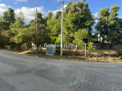 Οικιστικό 3923τ.μ. προς πώληση φωτογραφία 6