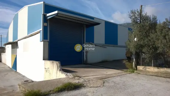 Golden Home Property Image