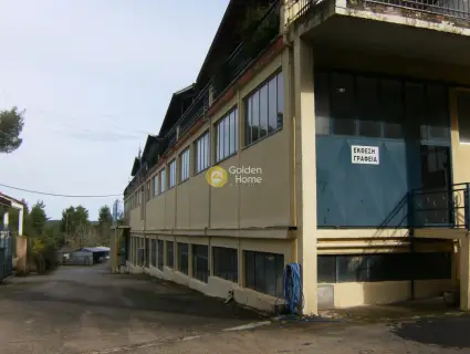 Golden Home Property Image