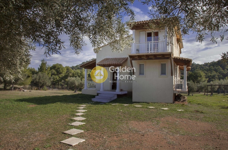 Golden Home Property Image