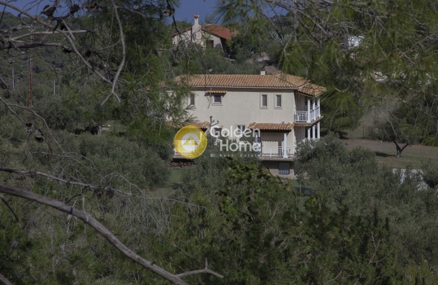 Golden Home Property Image