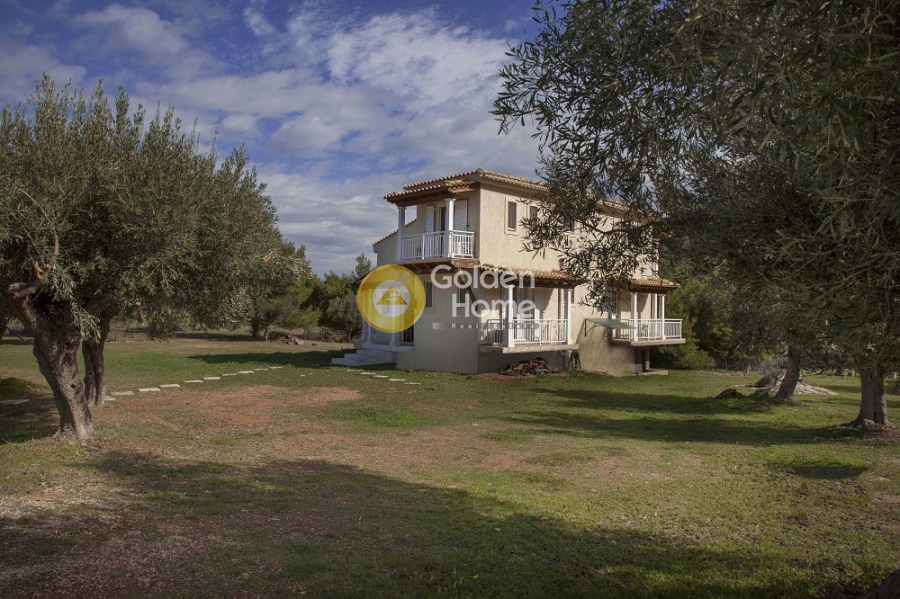 Golden Home Property Image