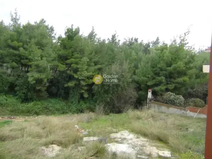 住宅 455m<sup>2</sup> for sale photo 3