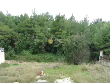 住宅 455m<sup>2</sup> for sale photo 7