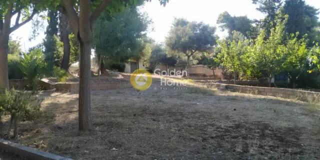 Golden Home Property Image