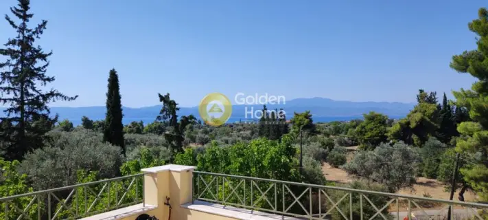 Golden Home Property Image