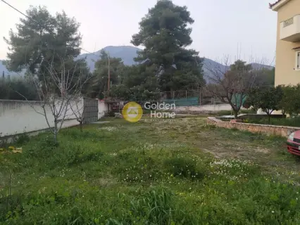 Μονοκατοικία 265τ.μ. προς πώληση φωτογραφία 16