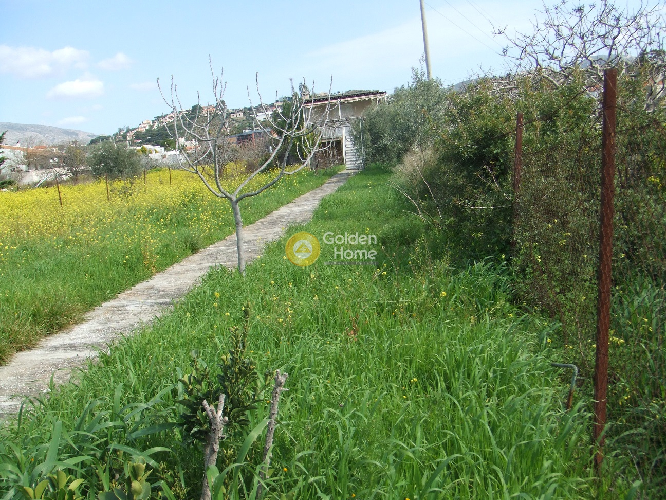 Golden Home Property Image