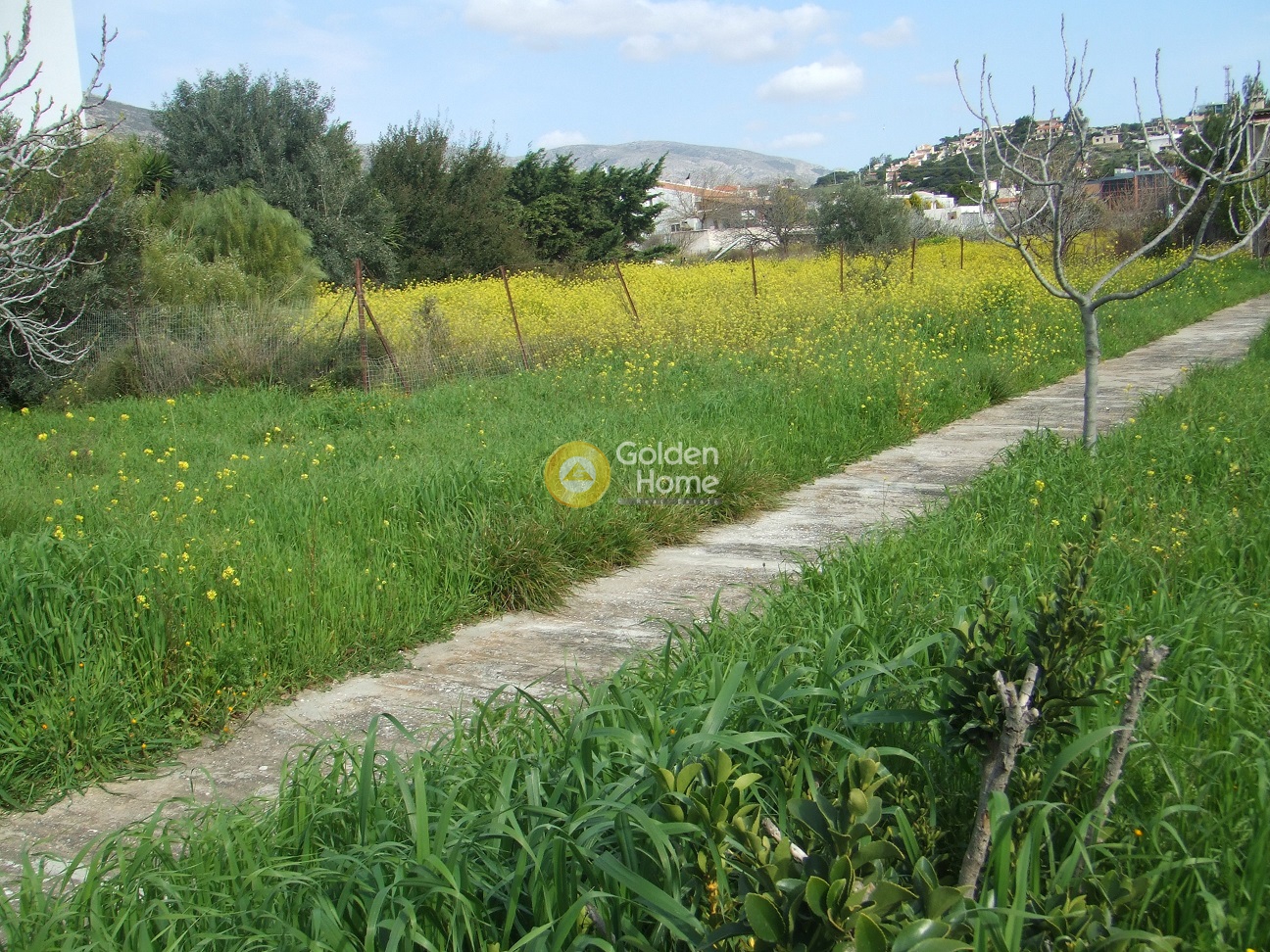 Golden Home Property Image