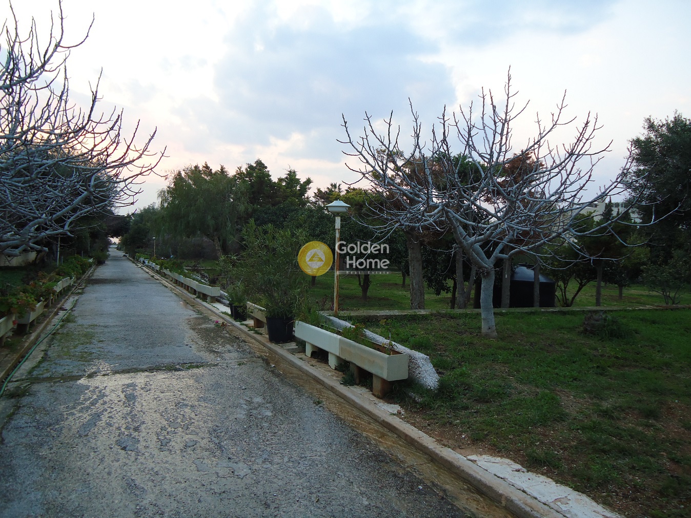 Golden Home Property Image