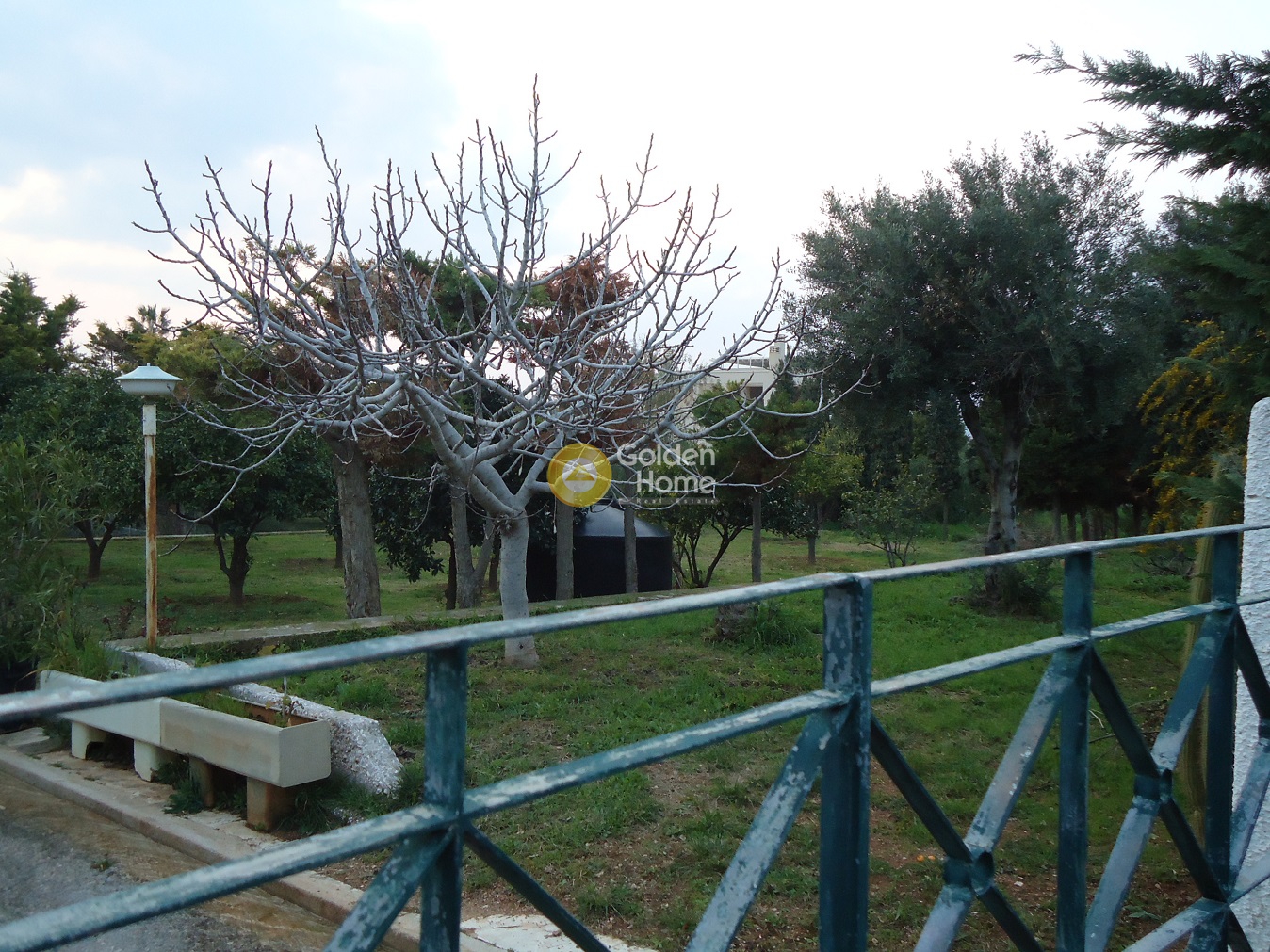 Golden Home Property Image