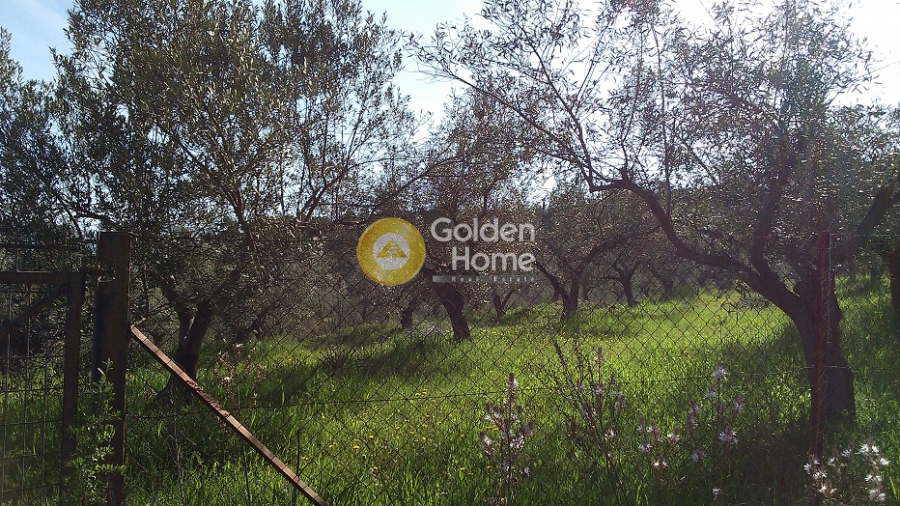Golden Home Property Image