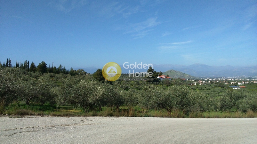 Golden Home Property Image