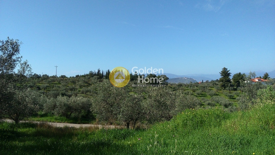 Golden Home Property Image