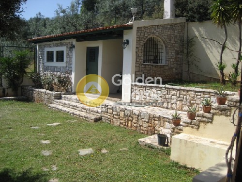 Golden Home Property Image