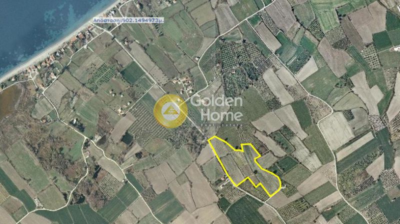 Golden Home Property Image