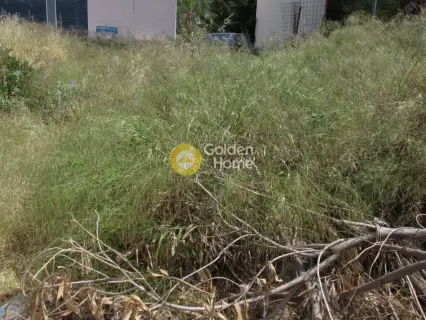 Οικιστικό 426τ.μ. προς πώληση φωτογραφία 2