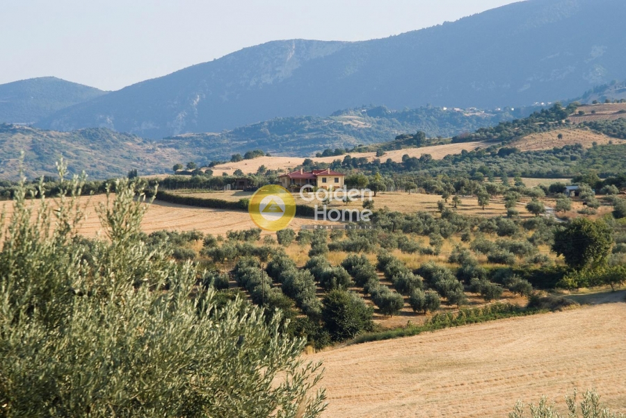 Golden Home Property Image