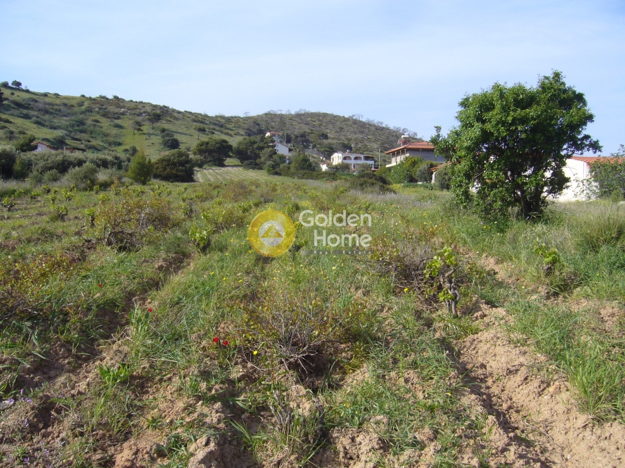 Golden Home Property Image