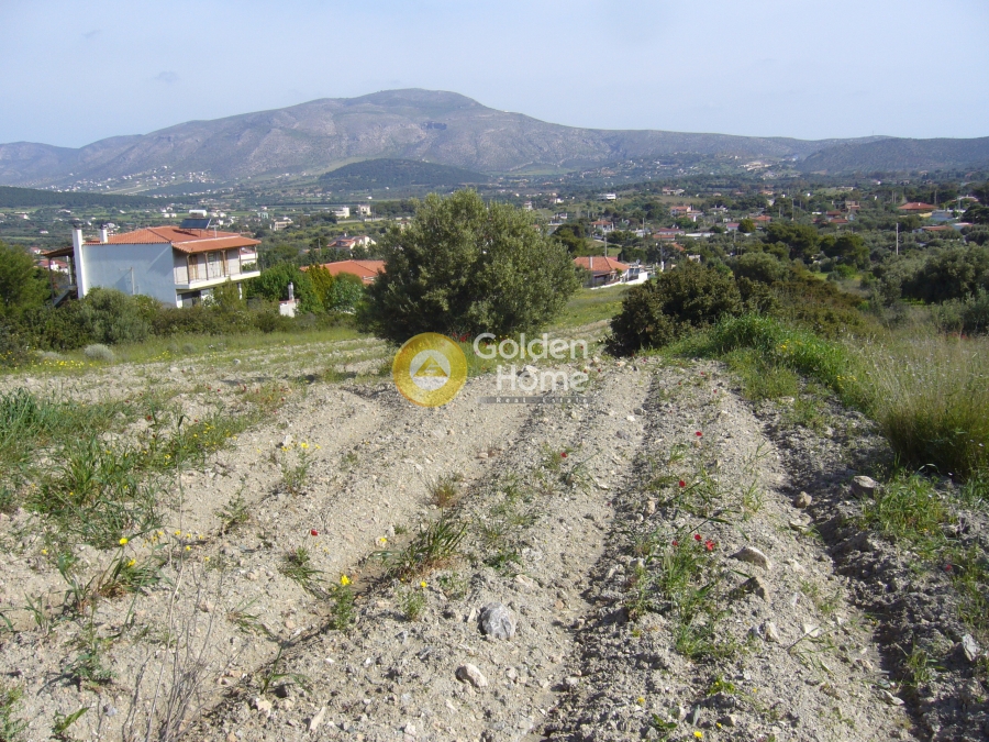 Golden Home Property Image