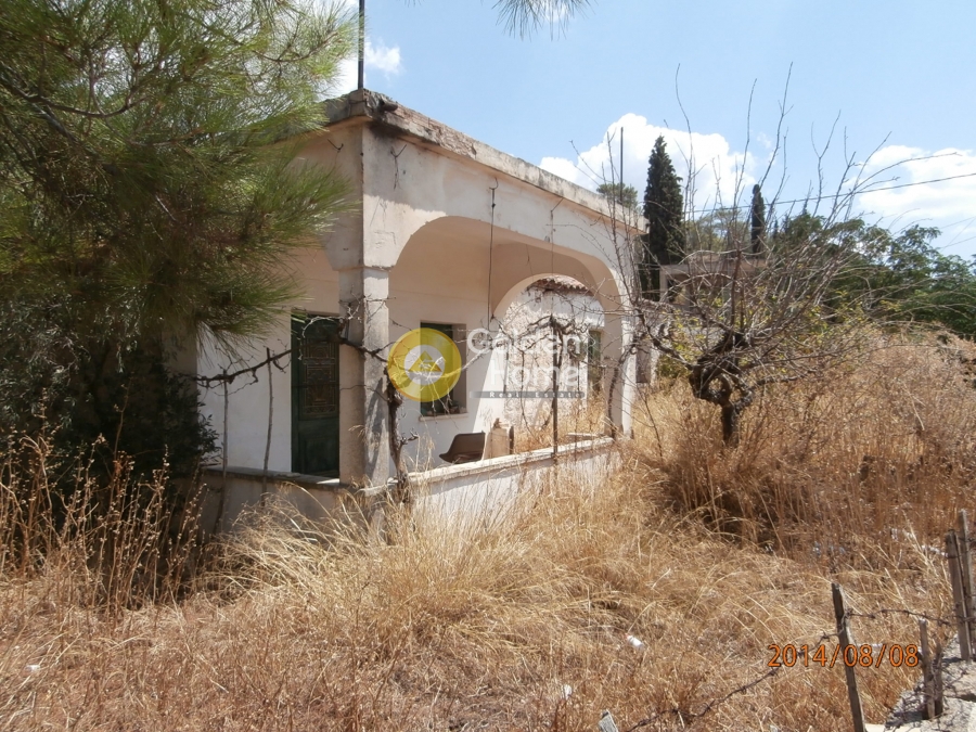 Golden Home Property Image