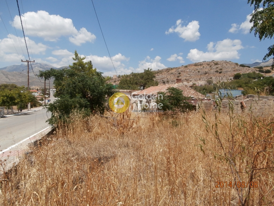 Golden Home Property Image