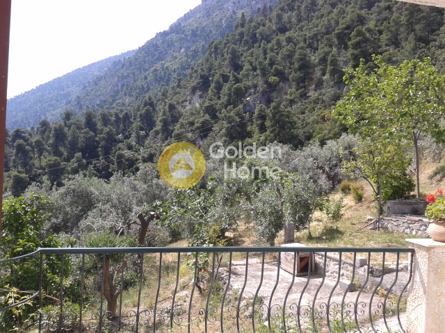 Golden Home Property Image