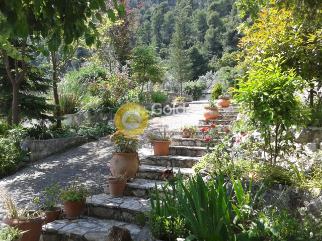 Golden Home Property Image