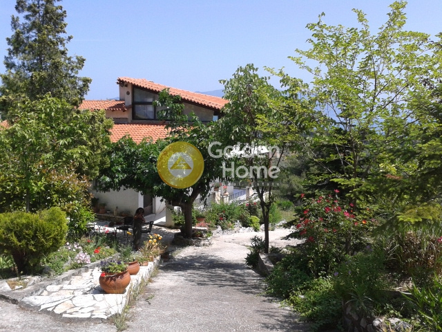 Golden Home Property Image