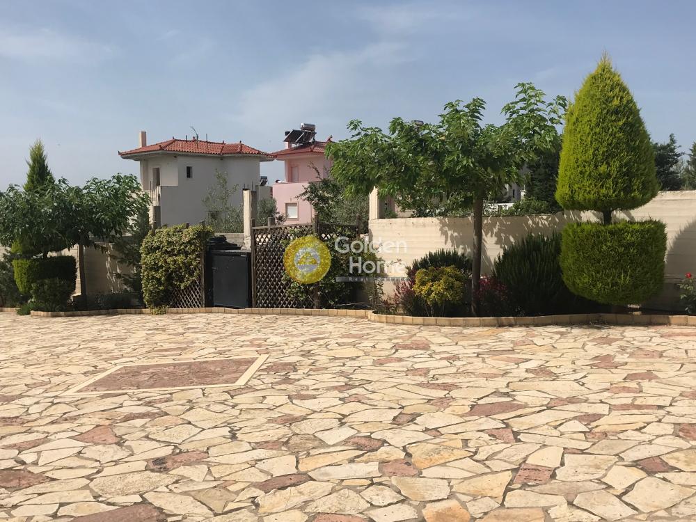 Golden Home Property Image