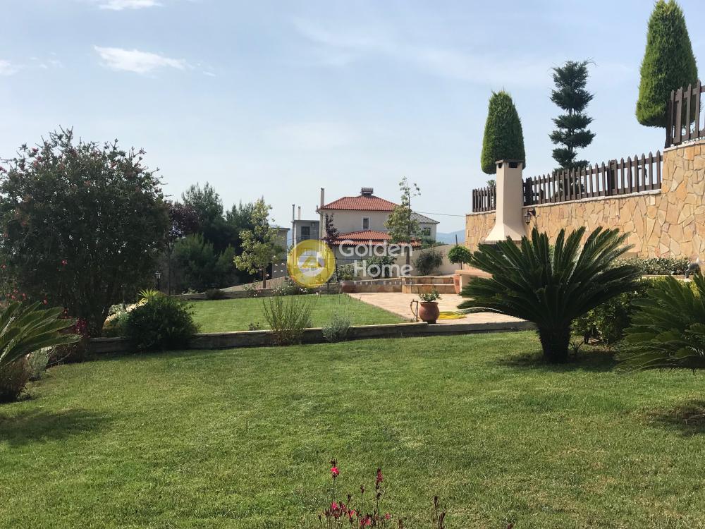 Golden Home Property Image