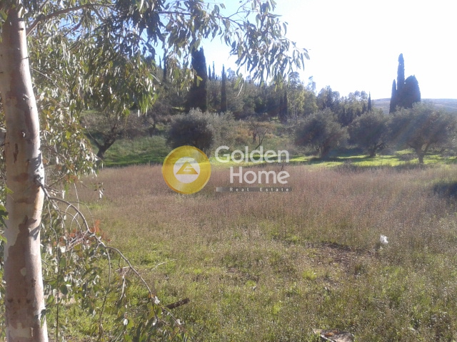 Golden Home Property Image